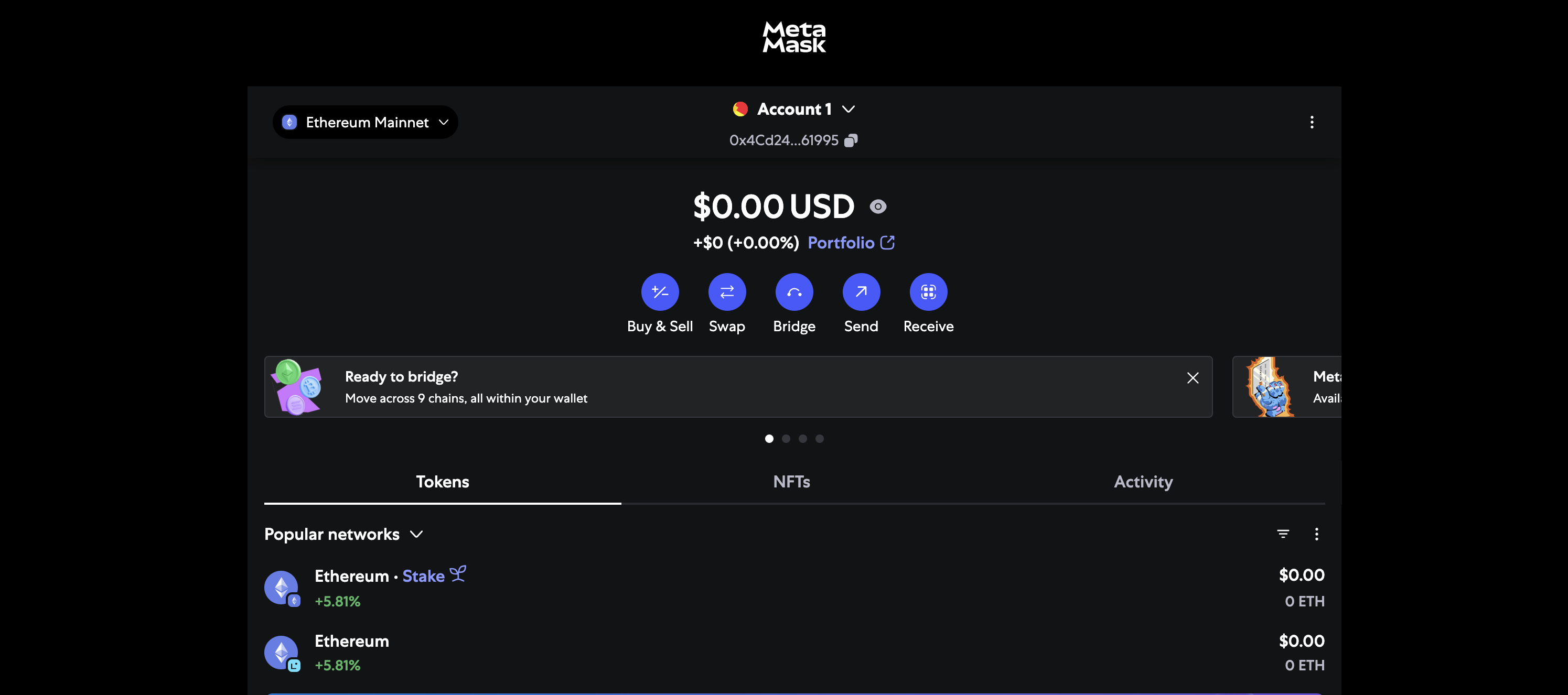 MetaMask Wallet Interface