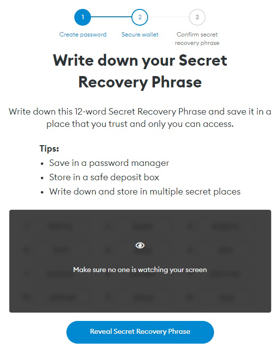 Protecting MetaMask Wallet