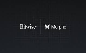 Bitwise запустила ончейн-хранилища с доходностью 6% годовых