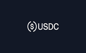 Circle представила USDC Bridge для кроссчейн-переводов