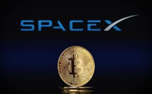 SpaceX раскрыла биткоин-резервы в документах к IPO