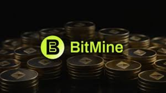 BitMine привлечет $300 млн через выпуск акций для покупки Ethereum
